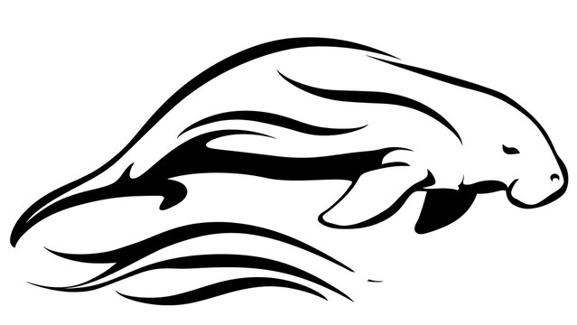 Elegant manatee line art illustration white background.
