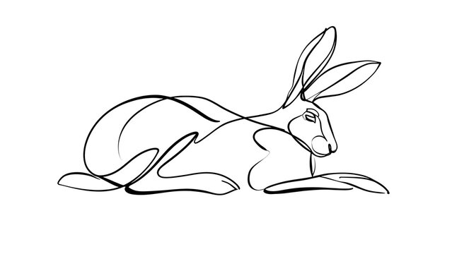 Minimalist rabbit line drawing white background.
