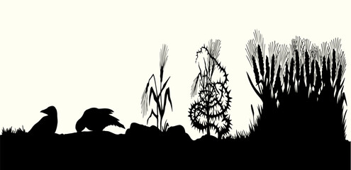 Obraz premium Vector drawing. Old wheat field. Biblical parable