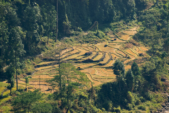 Aerial view of Bhutan - agricultural land , step agriculture, step farming , surrounded by forest and Himalayan mountains. India Bhutan border at Jhalong, North Bengal, Dooars, West Bengal, India.