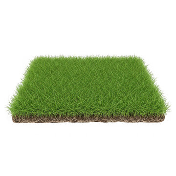 Square patch of fresh green grass with soil layer