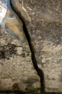 Paroi rocheuse escarp&eacute;e en calcaire stri&eacute; avec v&eacute;g&eacute;tation alpine &agrave; la base, g&eacute;ologie et texture de roche naturelle.