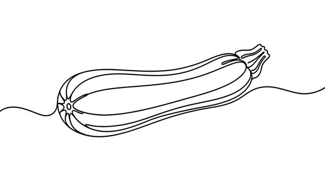 Simple line art zucchini illustration white background.