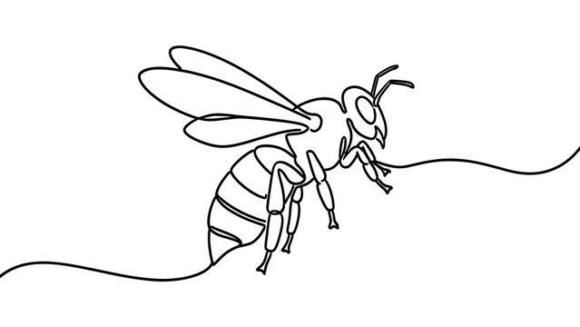 Black and white bee illustration on white background.