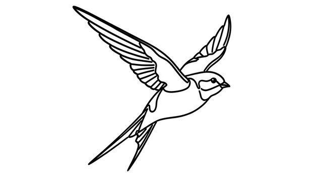 Flying swallow bird illustration white background.