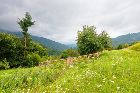 rural mountain landscape of ukraine. countryside scenery of transcarpathia in summer. sustainable living in green environment. forested hills and grassy meadows under cloudy sky