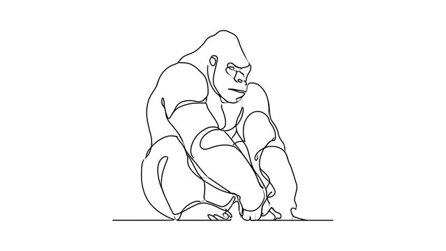 Gorilla illustration on white background.