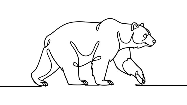Minimalist bear line art illustration white background.