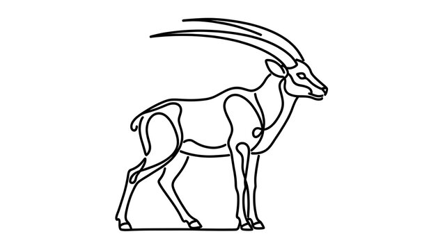 Oryx antelope line art illustration white background.