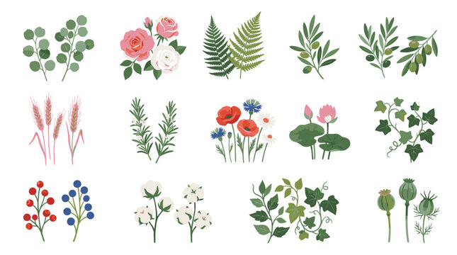 Colorful illustrated botanical collection of flowers and plants.