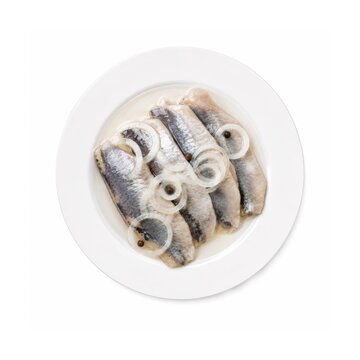 Bismarckhering auf wei&szlig;em Teller, freigestellt. Marinierte Heringsfilets mit Zwiebelringen und Pfefferk&ouml;rnern, in klarer Vogelperspektive auf hellem Hintergrund.