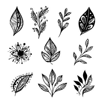 Collection of hand drawn botanical leaves and floral elements in black and white vector style