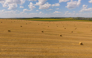 Obraz premium Straw bales on harvested wheat field top down drone view, aerial high angle agricultural harvest concept