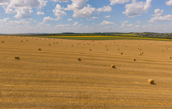 Straw bales on harvested wheat field top down drone view, aerial high angle agricultural harvest concept