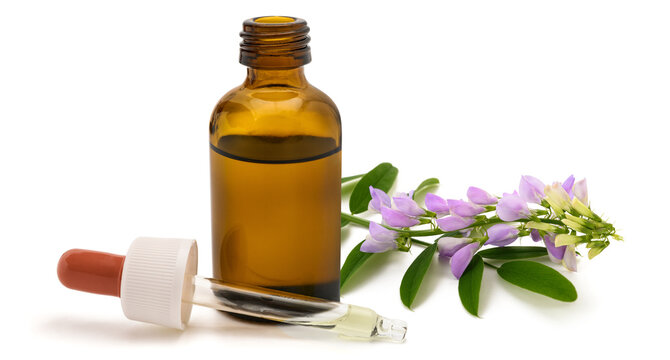 Galega officinalis essential oil bottle with dropper isolated on white background