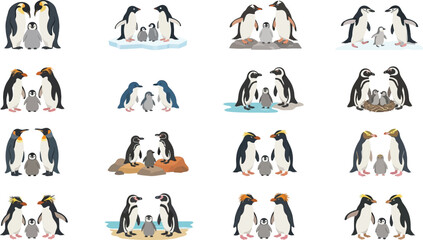 Educational collection of diverse penguin families including emperor adélie gentoo and chinstrap species vector © KhadizaAkter