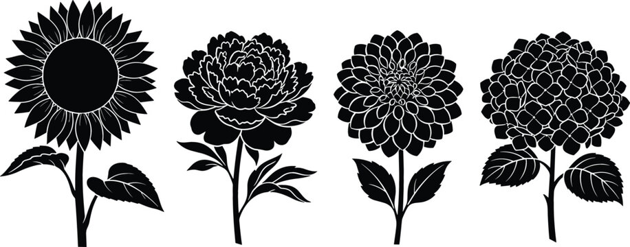 Detailed Flower Silhouette Vector Set Featuring Sunflower, Peony, Dahlia, and Hydrangea with Stems and Leaves for Spring Botanical Patterns, Floral Logos, and Tattoo Design
