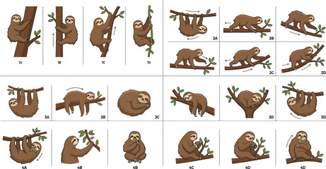 Educational flat vector collection of sloth movement studies showing climbing, locomotion, and resting positions. © KhadizaAkter