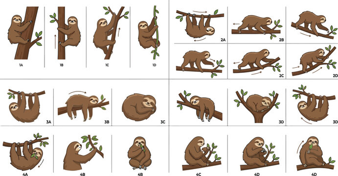 Educational flat vector collection of sloth movement studies showing climbing, locomotion, and resting positions.