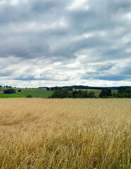 Obraz premium Dark clouds over field in Kashubia