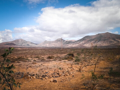 Desert on Lanzarote Island. Pure nature.