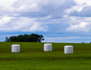 Sheaves of hay in a clearing. Haymaking in Kashubia. © Jan