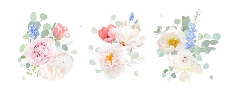 Pink, blue and white peony, flowers, green eucalyptus, sage greenery vector design wedding spring bouquets. Cut out soft and fluffy blooms. Floral summer watercolor. Elements are isolated and editable