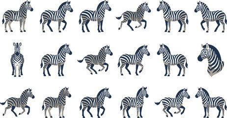 Large set of flat vector illustrations depicting zebras in various poses and angles for wildlife design projects © KhadizaAkter