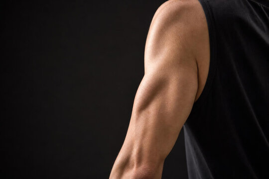 Upper arm tricep definition, strength and muscle fitness concept