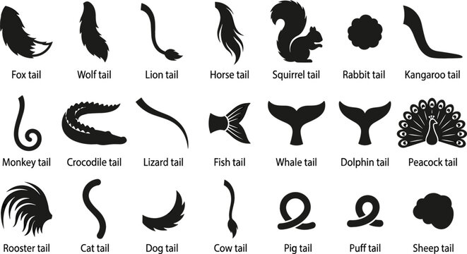 Animal Tail Silhouette Icon Set Featuring Wildlife Mammal and Bird Tail Shapes for Nature Vector Graphic Design Symbols