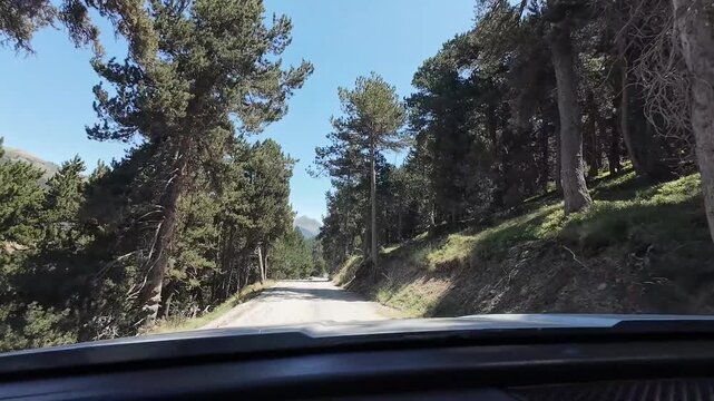 Driving POV on a bumpy off road track in the Pyrenees