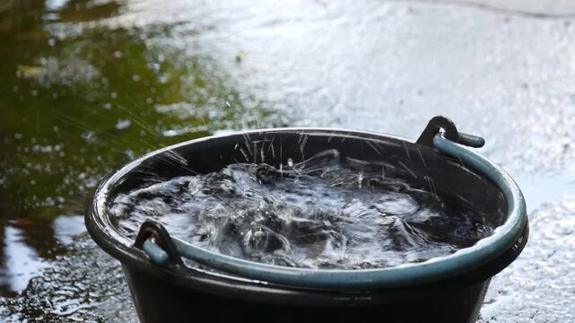 Heavy precipitation drops fall into a dark container, demonstrating meteorological rainwater harvesting methods, domestic hydrology conservation, and natural liquid resource sustainability