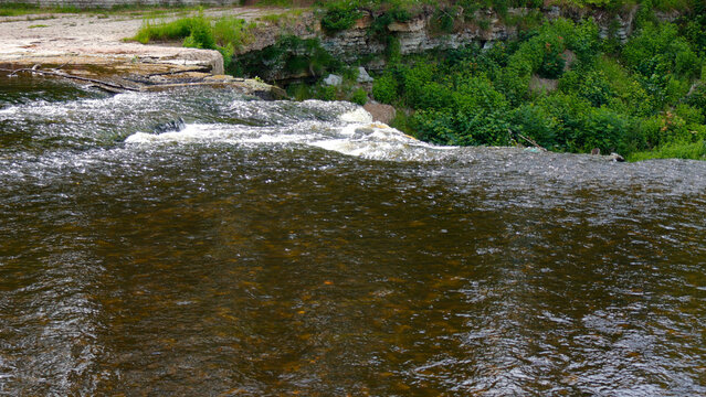 Keila Joa waterfall flowing strongly over a steep limestone edge, with green vegetation along the bank under a summer sky, creating a natural and dynamic landscape view