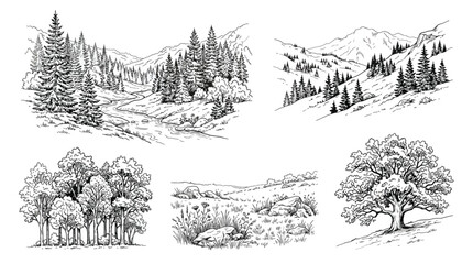 Obraz premium Set of hand drawn landscape illustrations with forest trees, mountains and meadow