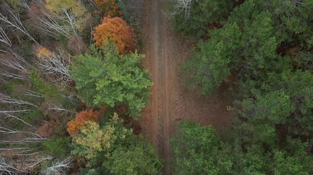 Aerial footage tilting up over a two track dirt road through a forest. Fall has taken hold of the landscape, leaves on trees grow orange and bare in the natural and agricultural rural countryside
