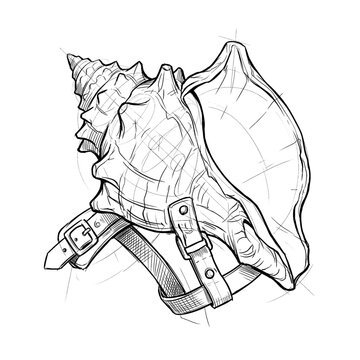 Hand drawn sketch of giant conch shell shoulder pauldron armor isolated. Black line art illustration.