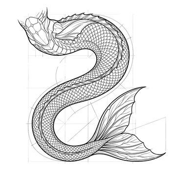 Hand drawn sketch of classic scale merman tail s-shape curve isolated. Black line art illustration.