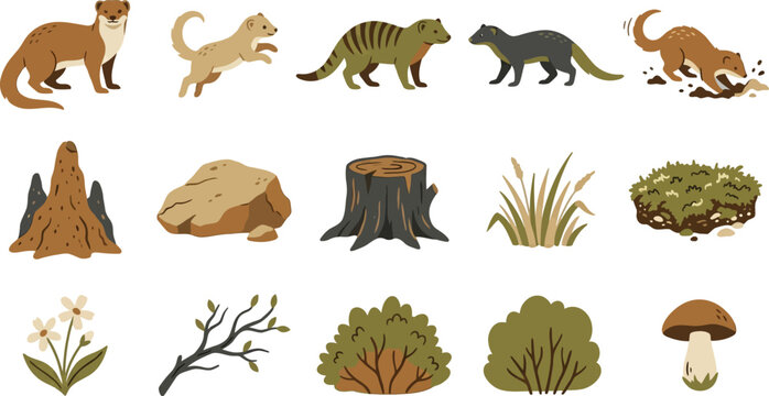 Set of mongoose illustrations with forest floor elements like tree stumps, mushrooms, and bushes in flat vector style
