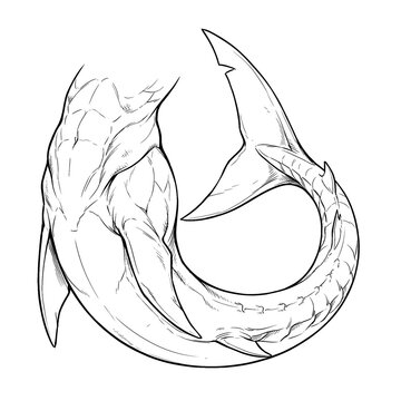 Hand drawn sketch of shark merman tail powerful slap action isolated. Black line art illustration.