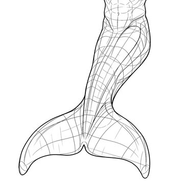 Hand drawn sketch of orca whale merman tail powerful fin isolated. Black line art illustration.