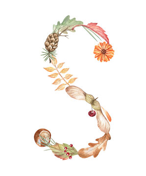Beautiful autumn alphabet letter S created from leaves, flowers, berries, pinecone, chestnut, and maple seeds. Artistic letter for books, monograms, stickers, scrapbooking, and more