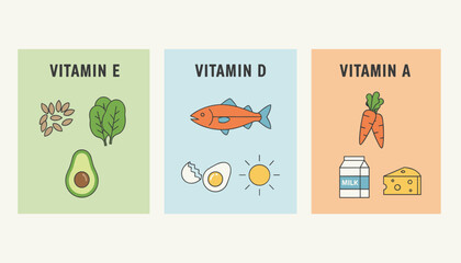 Fototapeta premium Infographic displaying food sources rich in vitamin E vitamin D and vitamin A
