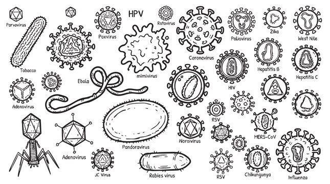 Collection of virus and bacteria illustrations, scientific vector graphics.