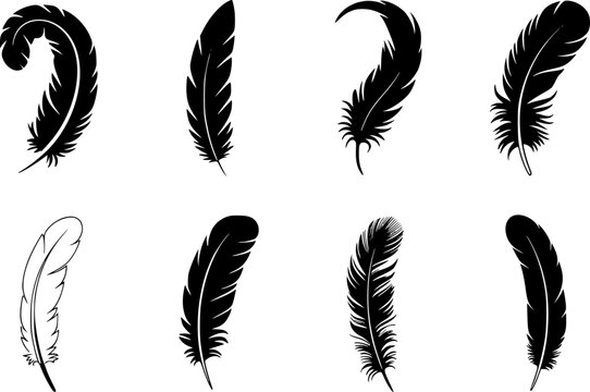 Una colecci&oacute;n de varias siluetas de plumas negras y un contorno de pluma blanca aislados sobre un fondo blanco