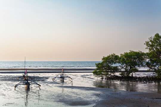 Traditional fishing boats rest on wet sand during low tide near mangroves. Calm sea, clear sky, warm tropical light create coastal scene perfect for travel, nature, and Indonesia lifestyle themes.