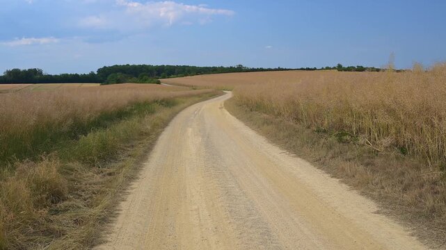 Weites Weizenfeld unter einer Mischung aus klarem und bew&ouml;lktem Himmel, Breithardt, Hohenstein, Rheingau-Taunus-Kreis, Taunus, Hessen, Deutschland