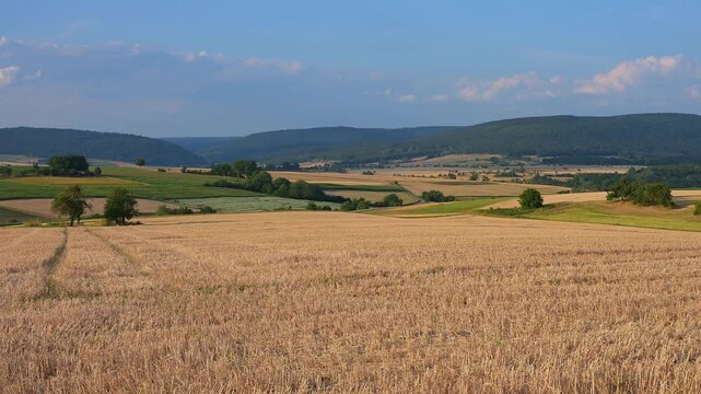 Felder erstrecken sich bis zum Horizont, unter einem blauen Himmel, Sommer, M&ouml;nchberg, Miltenberg, Spessart, Bayern, Deutschland
