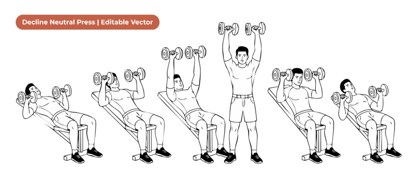 Dumbbell Press Exercise Vector Illustration showing step by step guide of athletic man performing decline bench chest workout routine line art icon set for fitness infographic and training guide