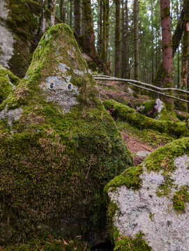 A triangular mossy rock painted with eyes along the troll trail Trollstigen at Grane gruva near Holsljunga Sweden.