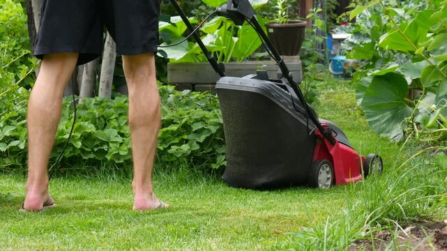 Man mowing grass with lawn mower in home garden. Backyard maintenance and yard work task. Landscaping activity by gardener in summer season. Outdoor lawn care.